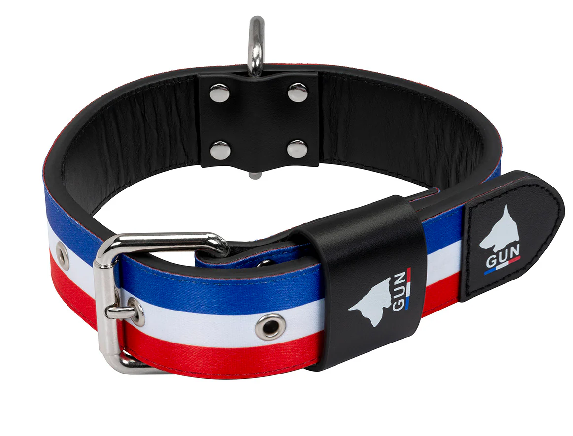 Collier Bleu Blanc Rouge Large pour chien - Image 3