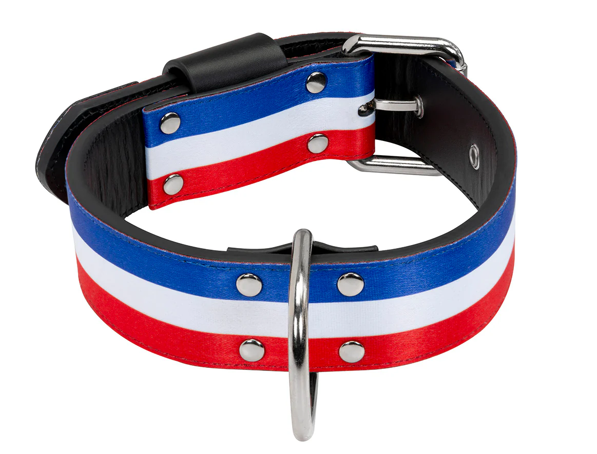 Collier Bleu Blanc Rouge Large pour chien - Image 4