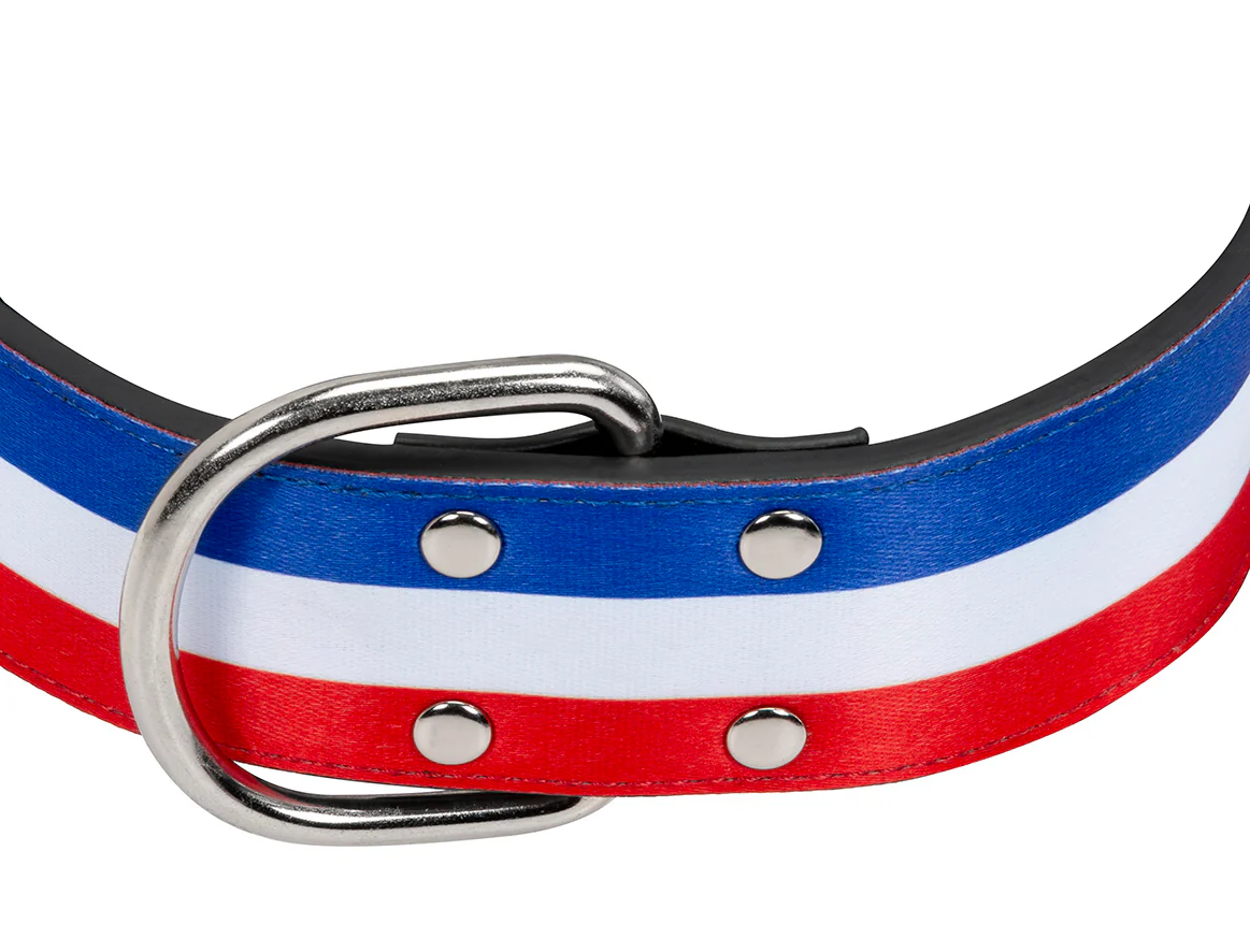 Collier Bleu Blanc Rouge Large pour chien - Image 5