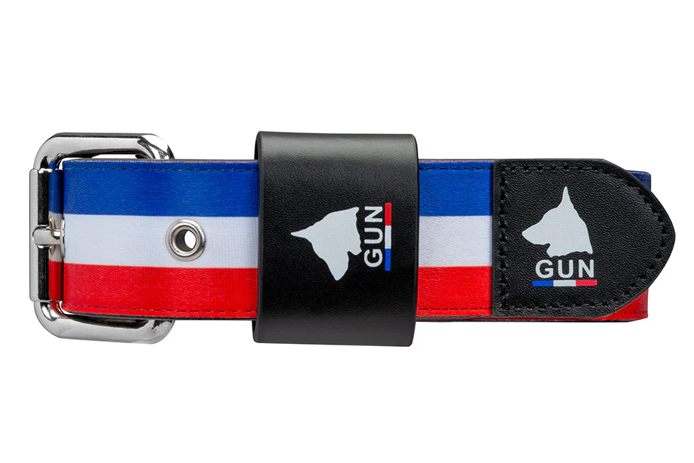 Collier Bleu Blanc Rouge Large pour chien - Image 6