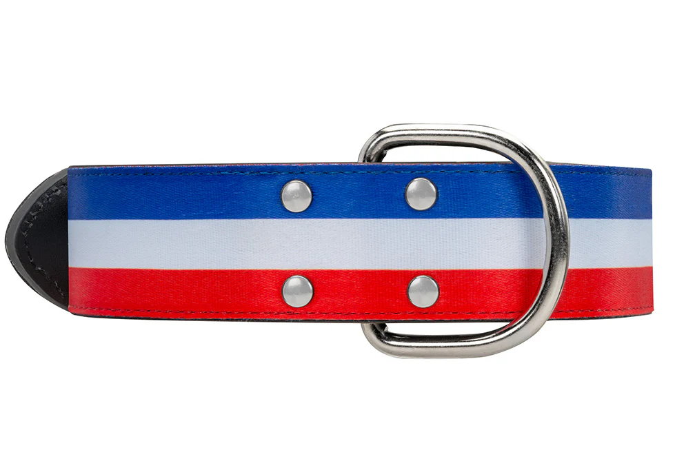 Collier Bleu Blanc Rouge Large pour chien - Image 7