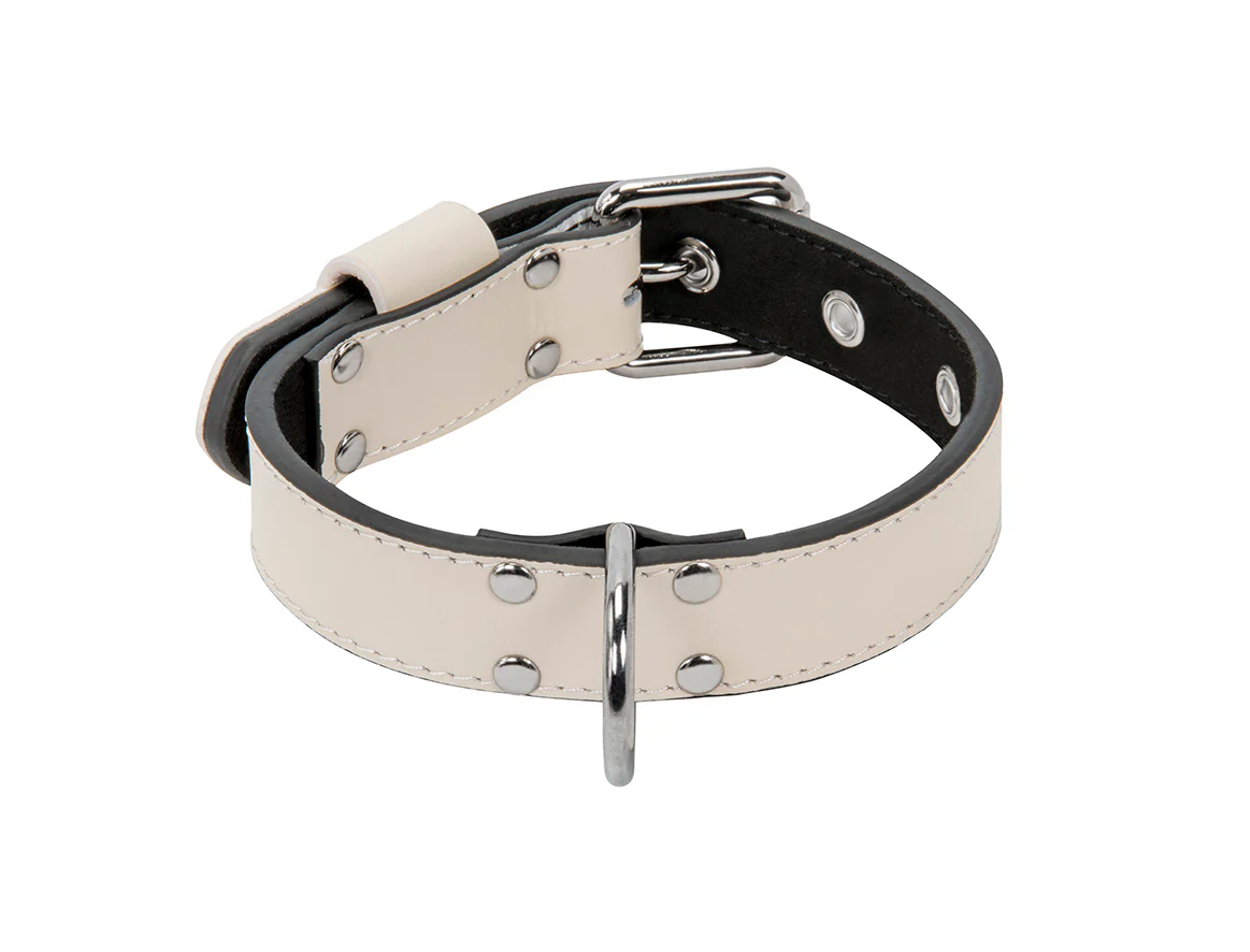 Collier Cuir Blanc pour chien - Image 4