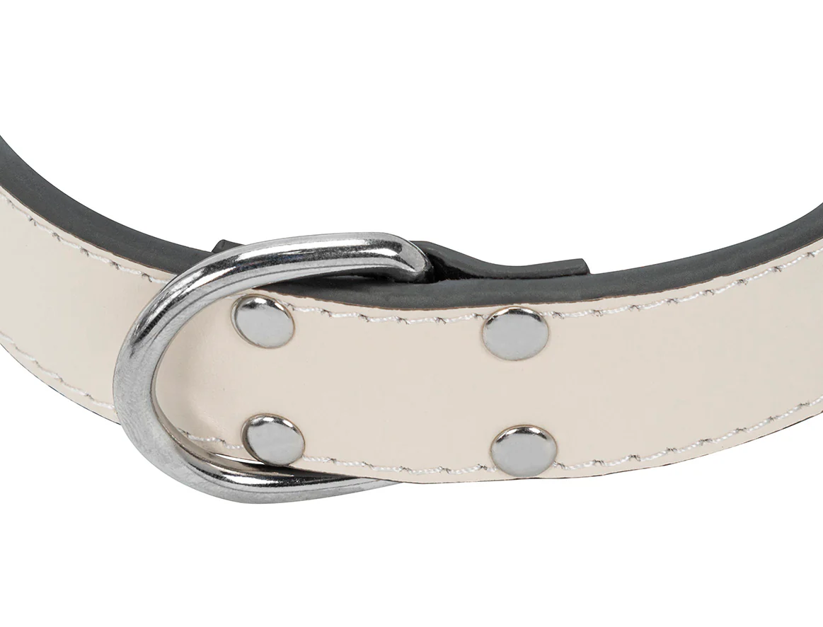 Collier Cuir Blanc pour chien - Image 5