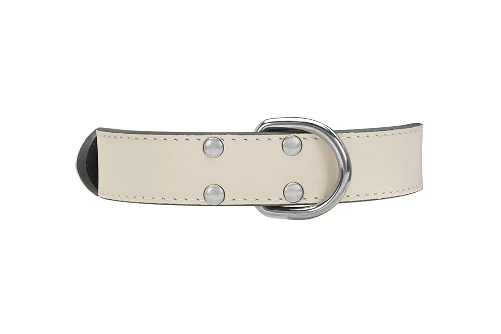 Collier Cuir Blanc pour chien - Image 6