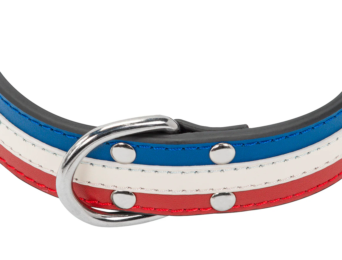 Collier Cuir Bleu Blanc Rouge pour chien ( classique ) - Image 3