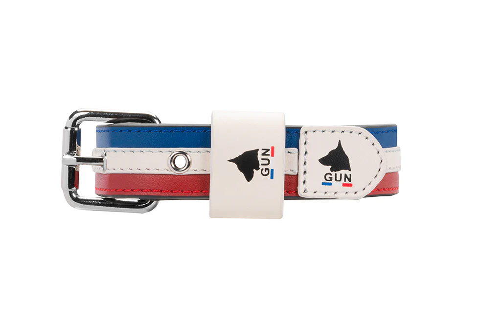 Collier Cuir Bleu Blanc Rouge pour chien ( classique ) - Image 4