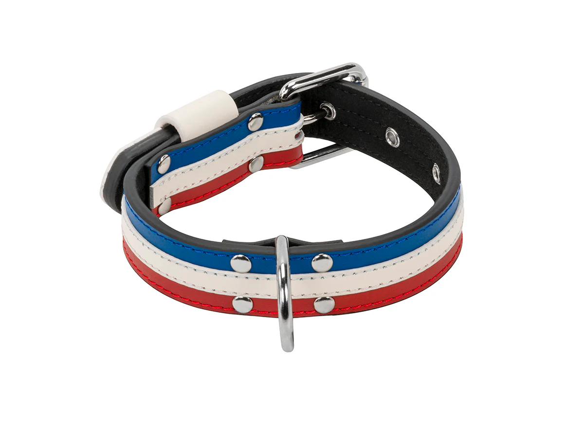 Collier Cuir Bleu Blanc Rouge pour chien ( classique ) - Image 5
