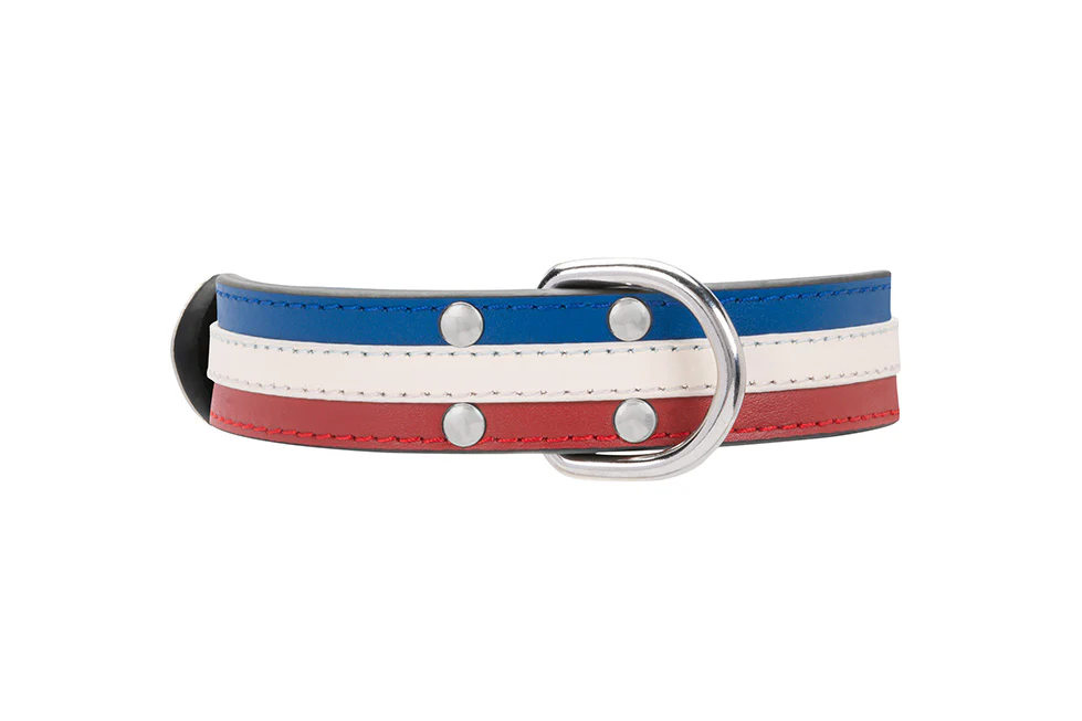 Collier Cuir Bleu Blanc Rouge pour chien ( classique ) - Image 6