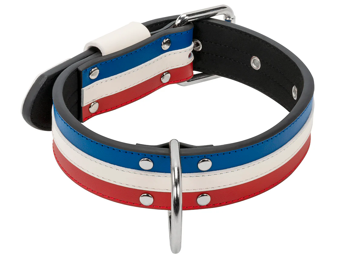 Collier Cuir Bleu Blanc Rouge Large pour chien - Image 3