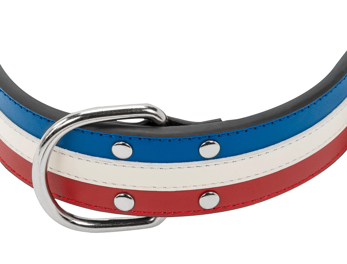 Collier Cuir Bleu Blanc Rouge Large pour chien - Image 5