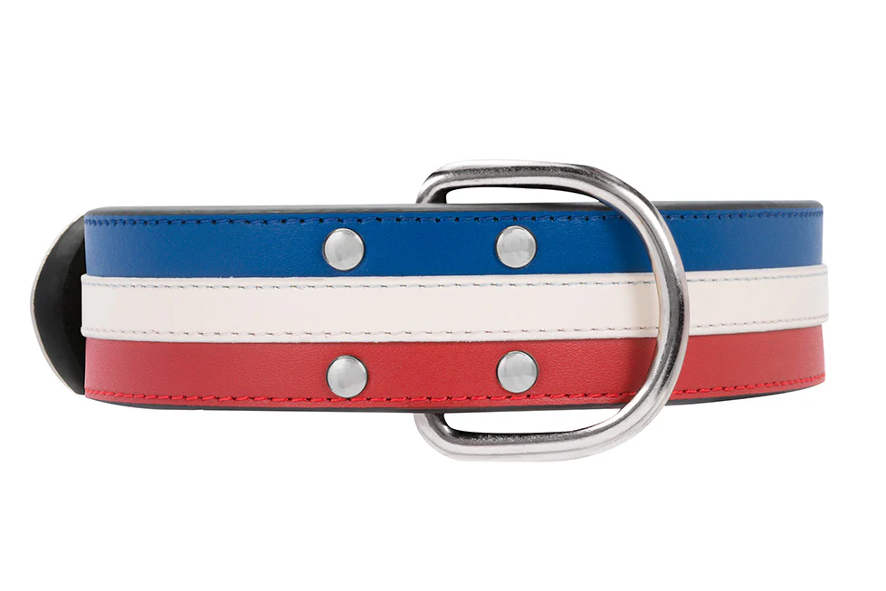 Collier Cuir Bleu Blanc Rouge Large pour chien - Image 6