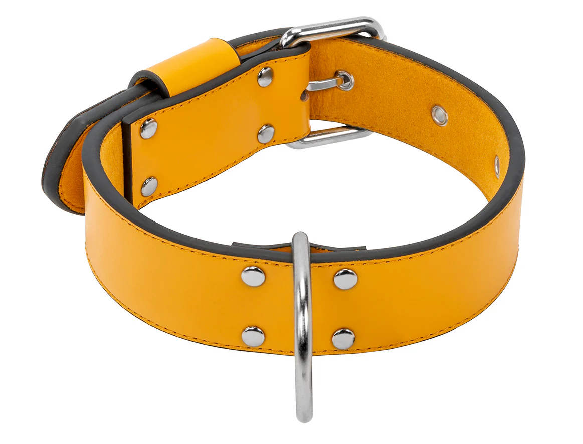 Collier Cuir Jaune Large pour chien - Image 3