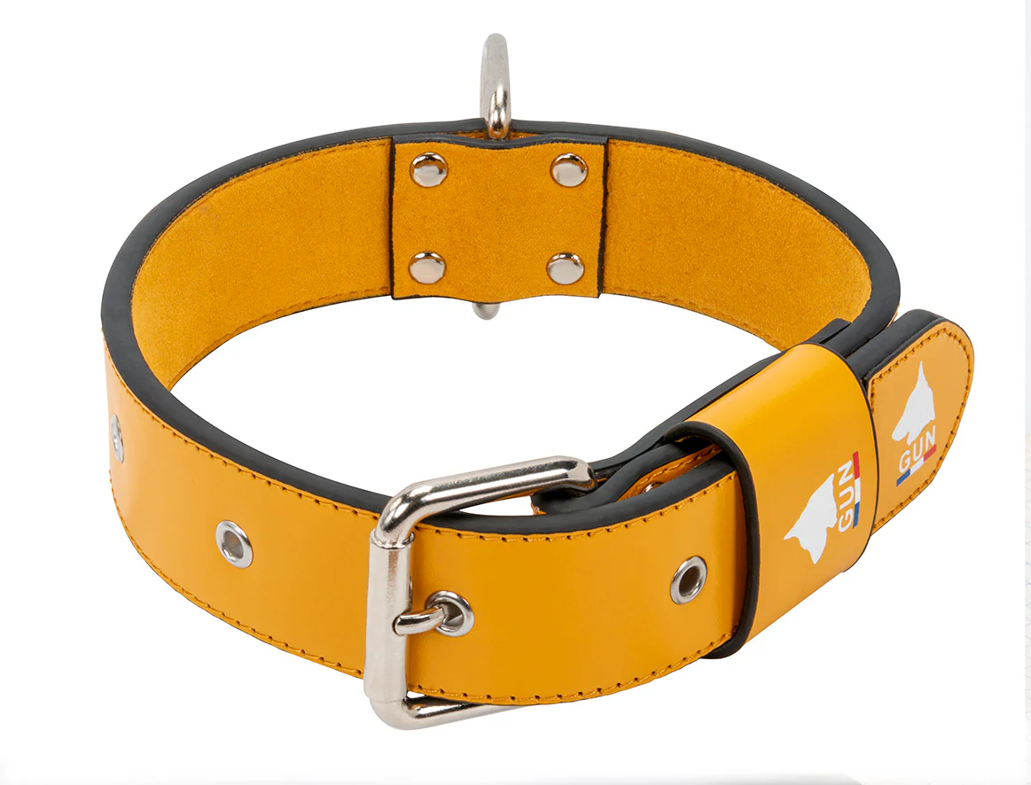 Collier Cuir Jaune Large pour chien - Image 4