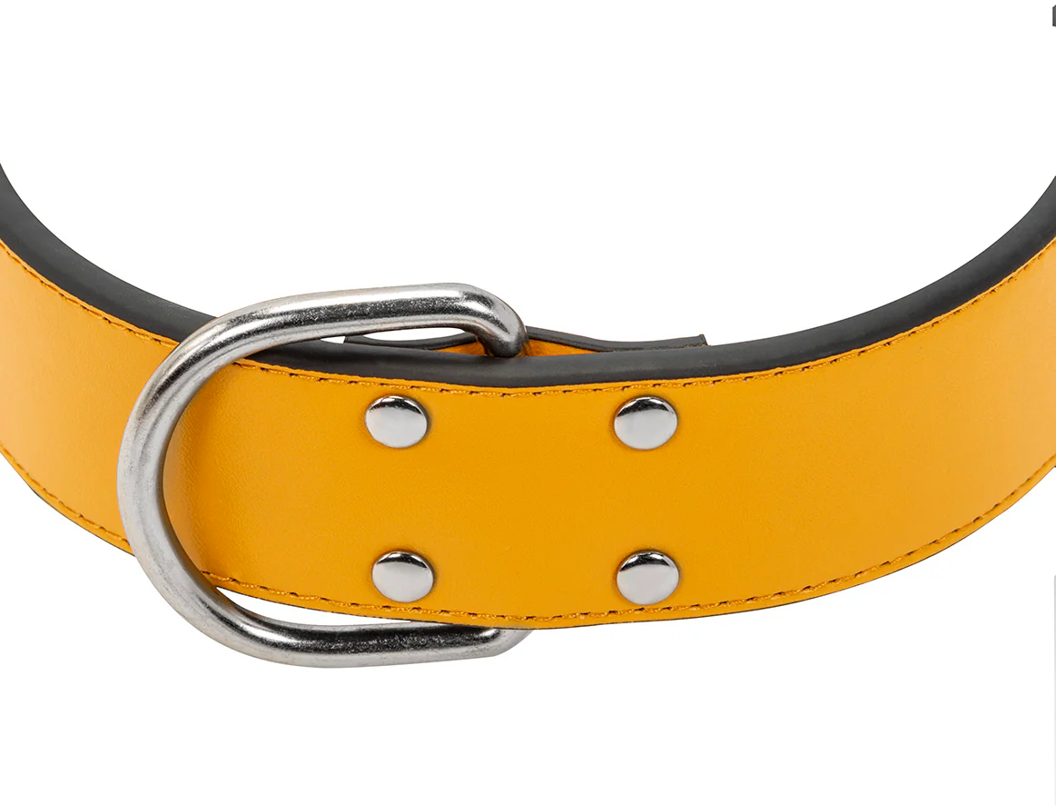 Collier Cuir Jaune Large pour chien - Image 5