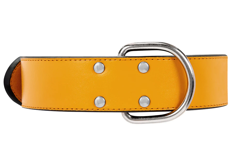 Collier Cuir Jaune Large pour chien - Image 6