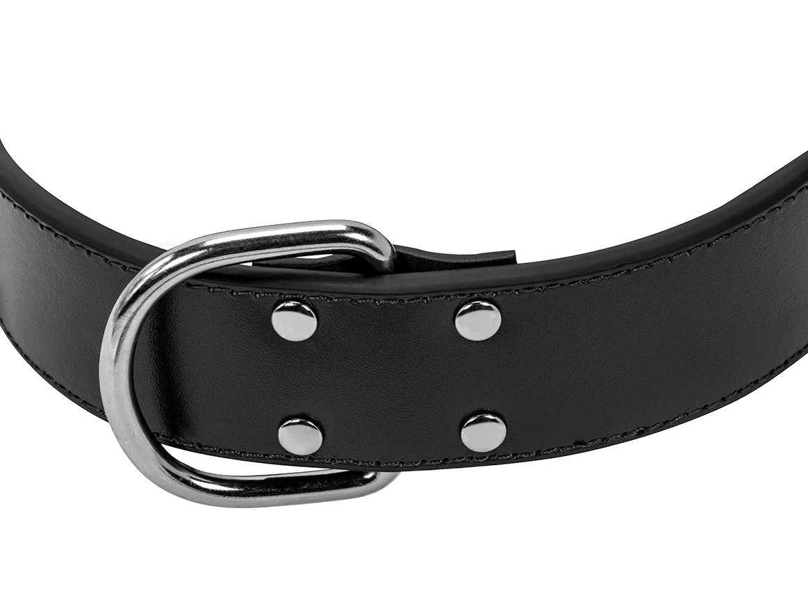 Collier Cuir Noir Large pour chien - Image 4
