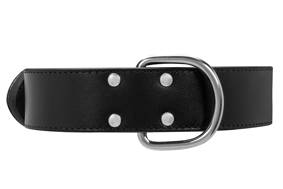 Collier Cuir Noir Large pour chien - Image 6
