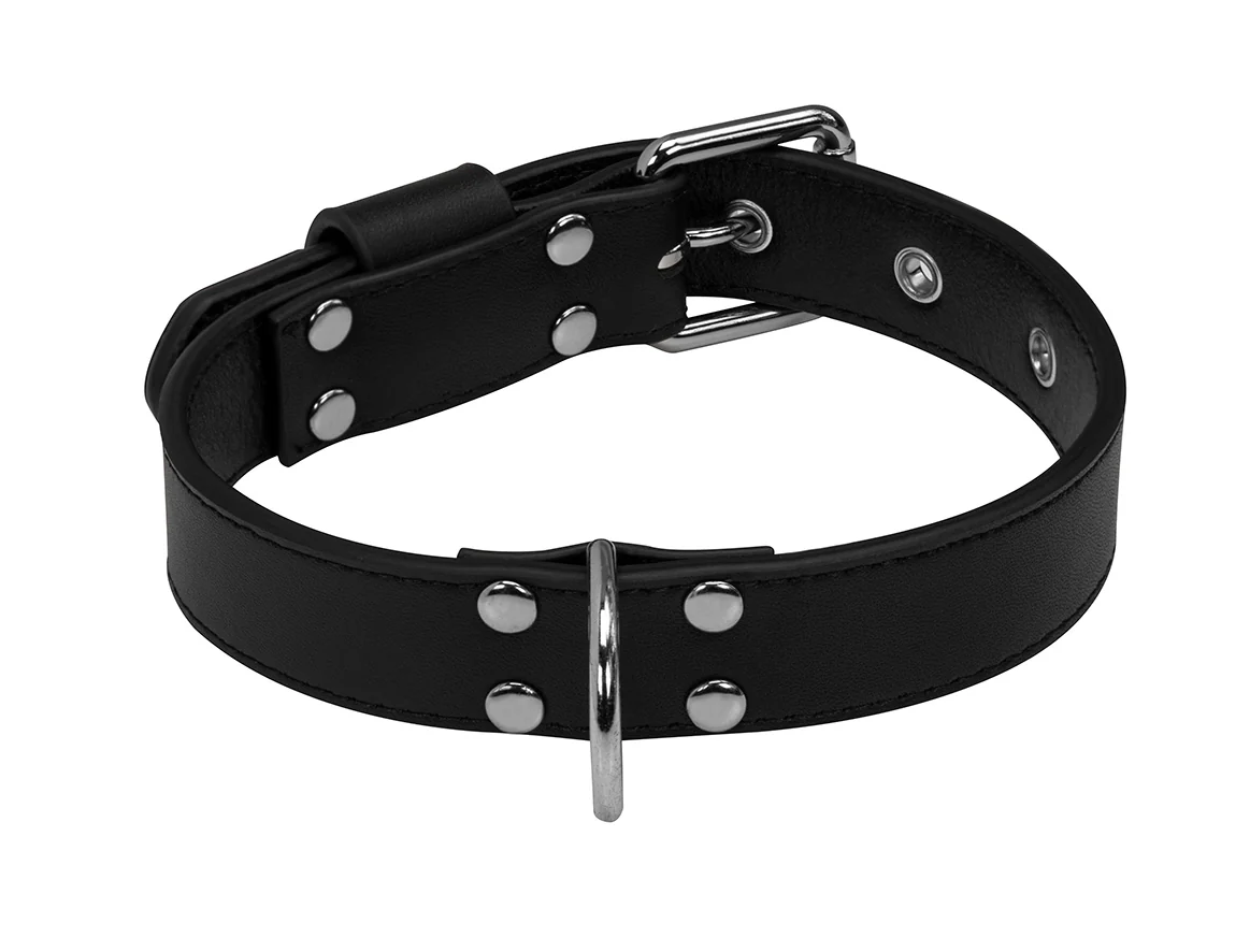 Collier Cuir Noir pour chien - Image 3