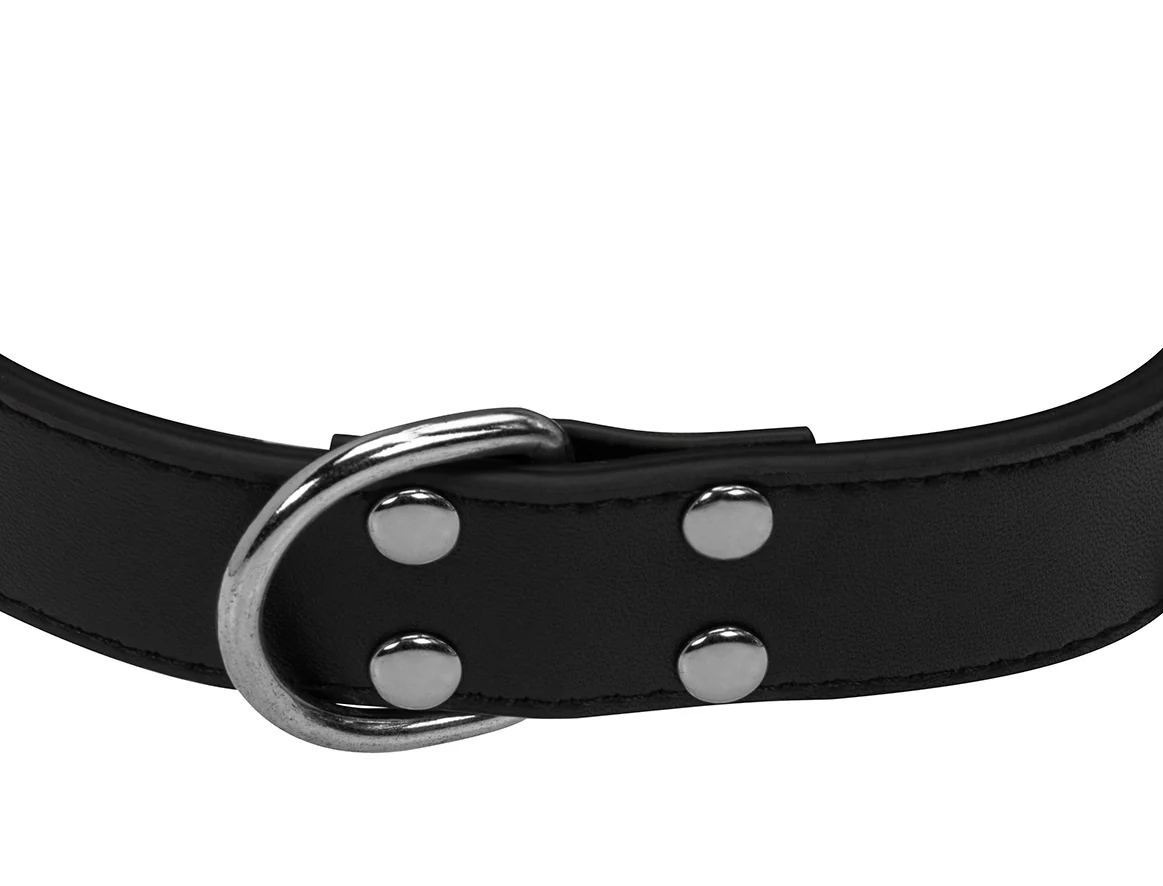 Collier Cuir Noir pour chien - Image 5