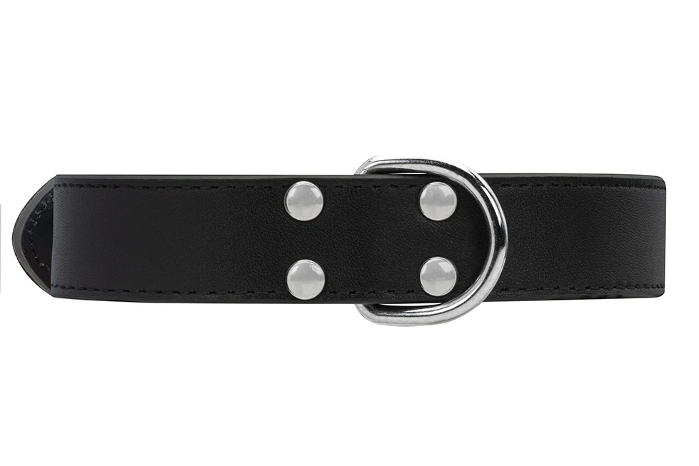 Collier Cuir Noir pour chien - Image 6